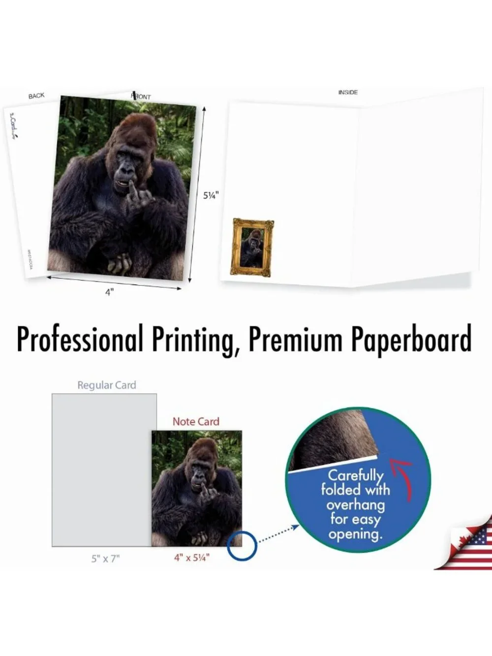20 Blank Note Cards with Envelopes - All Occasion Animal Assortment (10 Designs)